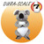 https://d3d71ba2asa5oz.cloudfront.net/12002466/images/junior-mighty-koala-dog-toy-48__78186.jpg