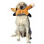 https://d3d71ba2asa5oz.cloudfront.net/12002466/images/mighty-fox-dog-toy-53__33658.jpg