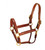 Tory Leather Padded Halter Brass OAK/OAK