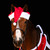 Horze Santa Horse Hat ON HORSE