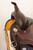 Circle Y Sheridan Flex2 Trail Saddle 1572
Left swell