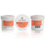 Coat Defense Canine & Cats Trouble Spot Drying Paste LABEL VIEWS