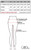 GhoDho Aubrie Pro Breeches size chart