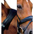 Stubben Switch Snaffle+Weymouth Bridle Black crown, flash
