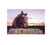 Texas Haynet 3 String Square Bale Hay Net