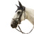 In Horse We Trust Infinity Noseband
With bridle on horse