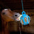Jolly Hay Ball horse eating