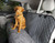 Dirty Dog Car Seat Cover & Hammock cover