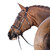 LT Essential Snaffle Bridle HAVANA side