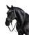 LT Patent Essential Snaffle Bridle PATENT/WHITE front