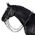 LT Essential Double Bridle BLACK side