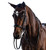 LT Patent Essential Double Bridle BLACK front