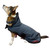 Animo Julestorm Dog Coat BLUE NAVY Left Side - On Dog