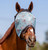 Mackey Equine Squirrel Fly Mask FRONT