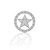 Kelly Herd Large Star Tie Tack