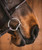 Fager Fixed Ring IN USE