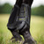 LeMieux MIMsafe XC Boots Front SIDE