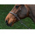 Jump'In Bitless Bridle HAZELNUT NOSE DETAIL