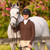 Euphoric Waffle Knit Long Sleeve Polo COCO FRONT