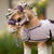 LeMieux Toy Pony Vogue Halter LILAC LIFESTYLE