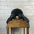 Used Trilogy Debbie McDonald Dressage Saddle rear cantle