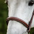 Horseware Hunter Cavesson Bridle NOSEBAND