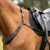 Kavalkade Jerome 2-Point Breastplate BLACK ON HORSE