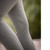 Pénélope Majestic Breeches SAGE GREEN KNEES