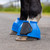 Shires ARMA Gloss Over Reach Boots BLUE ON HORSE