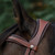 CommonWealth Soft Bridle BROWN CROWN