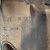 Used Butet Deep Seat Close Contact Saddle serial stamp