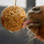 Likit Granola Stall Ball CLOSEUP PONY