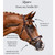 LUMIERE BRIDLE FIT INFO