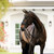 Lumiere Ariana Double Bridle BLACK LIFESTYLE