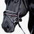 Lumiere Paloma Bridle NOSEBAND