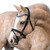 Lumi Pony Pera Bridle BLACK