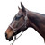DziaSport Happy Horse Leather Halter