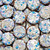 Equine Confections Ringside Bites GALAXY