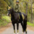 LeMieux Loire Classic Dressage Square Pad GOOSEBERRY LIFESTYLE