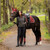 LeMieux Loire Classic Dressage Square Pad RUSSET LIFESTYLE