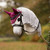 LeMieux Hobby Horse Ear Bonnet BLACKBERRY LIFESTYLE