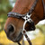 Equinavia Saga Hackamore Bridle HACKAMORE