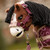 LeMieux Toy Pony Vogue Halter BLACKBERRY LIFESTYLE