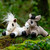 LeMieux Tiny Beanie Ponies LEMON, DAPHNE