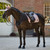 LeMieux Heritage Herringbone Dressage Pad WILD ROSE LIFESTYLE