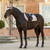 LeMieux Heritage Herringbone Jump Square Pad WILD ROSE LIFESTYLE