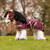 LeMieux Toy Pony Print Turnout Blanket BLACKBERRY LIFESTYLE