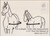 Mary's blanket measure infographic