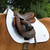 Back on Track Saddle Pad AP WHITE ON HORSE