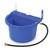 Little Giant Duramate Automatic Waterer blue